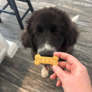 Custom Bake Treats Dog Name, Custom Bone Shaped Treat Mold, Personalized Dog Biscuit Silicone Bakeware, Dog Lover Gift 683911