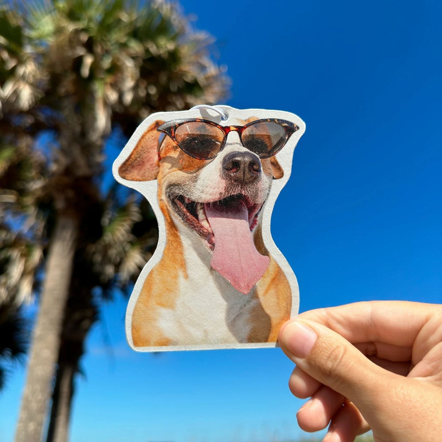 Custom Photo Air Freshener| Personalized Air Freshener | Car Freshies | Cute Car Accessories 685046