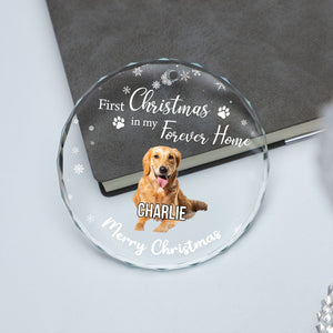 First Christmas in My Forever Home Glass Ornament | Custom Photo Glass Ornament | Personalized Gift For Dog Lovers 682653