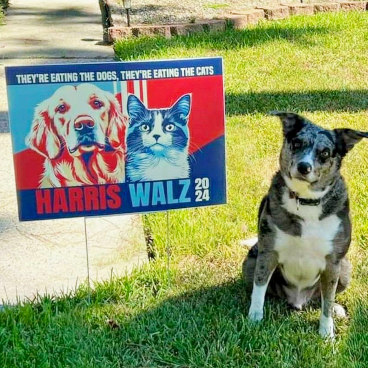 They're Eating The Dogs Cats Yard Sign | Kamala Harris Yard Sign | Vote Kamala Yard Sign | Democrat Yard Sign T1594 - KH2
