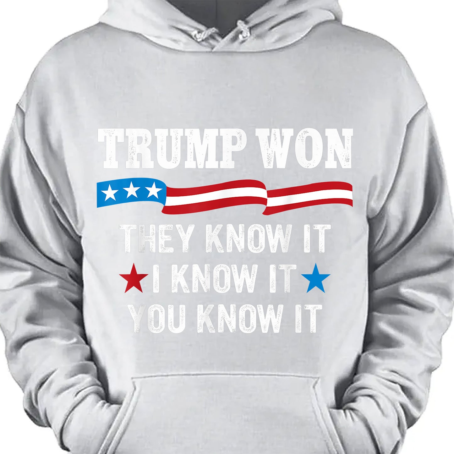 They Know It I Know It You Know It , Trump Won, Trump Wining Election Shirt, Trump 47th President Shirt Dark T1711 - GOP