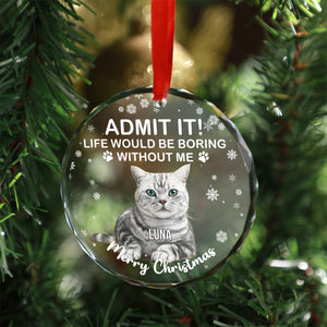 Admit It Life Would Be Boring Without Us Glass Ornament | Custom Photo Glass Ornament | Personalized Gift For Cat Lovers 682652
