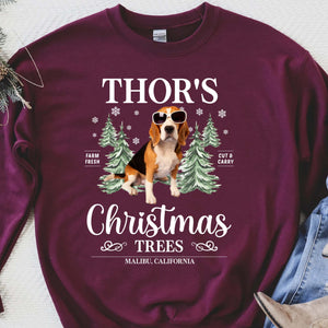Custom Photo Christmas Sweatshirt, Personalized Shirt Christmas, Sweater For Dog Lovers, Cat Lovers 683225