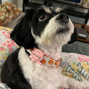 Personalized Dog AirTag Collar Holder, Custom Name AirTag Collar Holder, Pet Airtag Case Silicone BX25