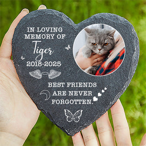 Best Friends Are Never Forgotten Stone, Personalized Photo Memorial Stone, Gifts For Loss of Loved One 682016