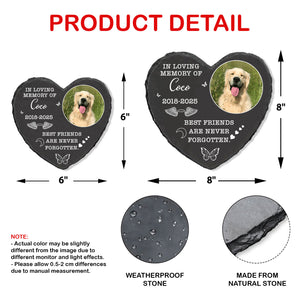 Best Friends Are Never Forgotten Stone, Personalized Photo Memorial Stone, Gifts For Loss of Loved One 682016