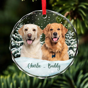 Personalized Dog Photo Glass Ornament | Custom Dog Cat Pet Photo Christmas Ornament 683461