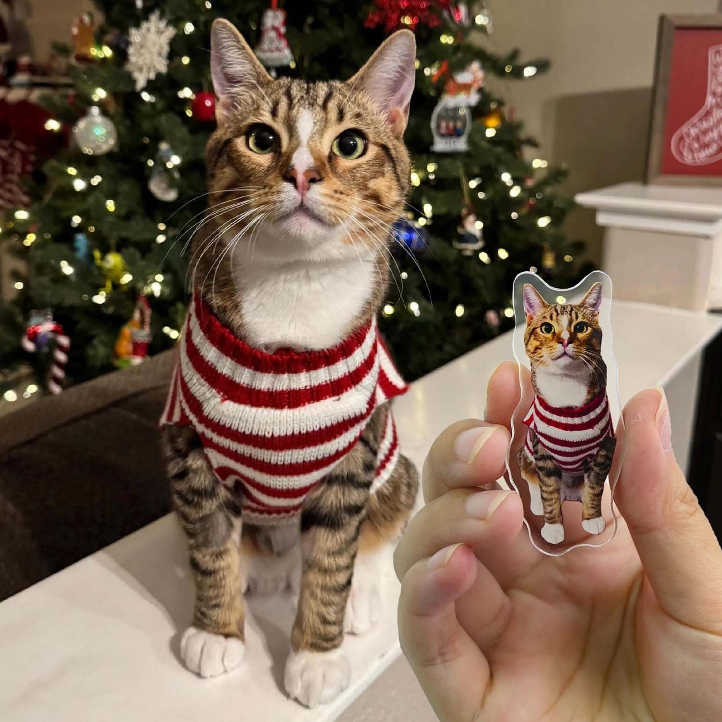 Custom Photo Magnet, Personalized Pet Photo Magnet, Pet Fridge Magnet, Gift for Pet Lovers BX25