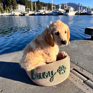 Personalized Cat Toy Basket, Custom Name Basket, Rope Cotton Basket Gift, Pet Toy Basket, Custom Toy Storage For Pet BX25