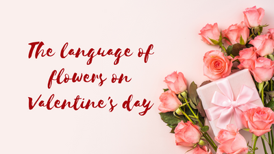 The language of flowers on Valentine's Day!