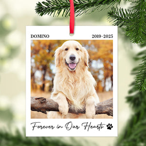 Custom Pet Photo Memorial Acrylic Ornament, Personalized Christmas Ornament, Pet Loss Gift 685999