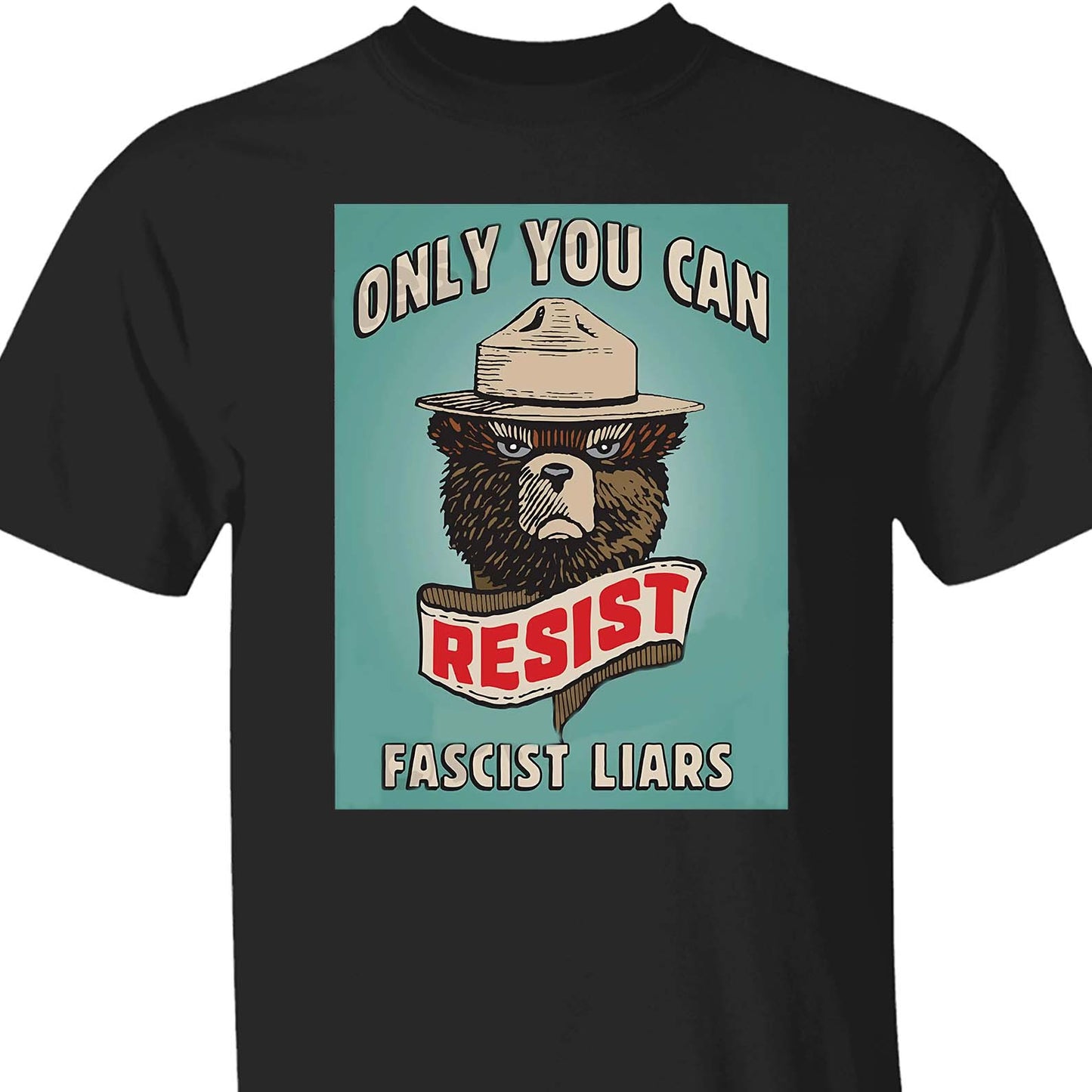 Resist Fascist Liars Shirt – 8647 Anti Trump Political Protest Tee For Activists Tee, Political Protest Dark Shirt 682210