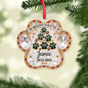 Personalized The Brightest Star In The Sky Acrylic Ornament, Custom Name Christmas Gift For Pet Lover 686728
