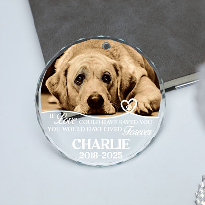 Personalized If Love Could Have Saved You Glass Ornament | Custom Memorial Pet Photo Glass Ornament For Christmas Decor 682726