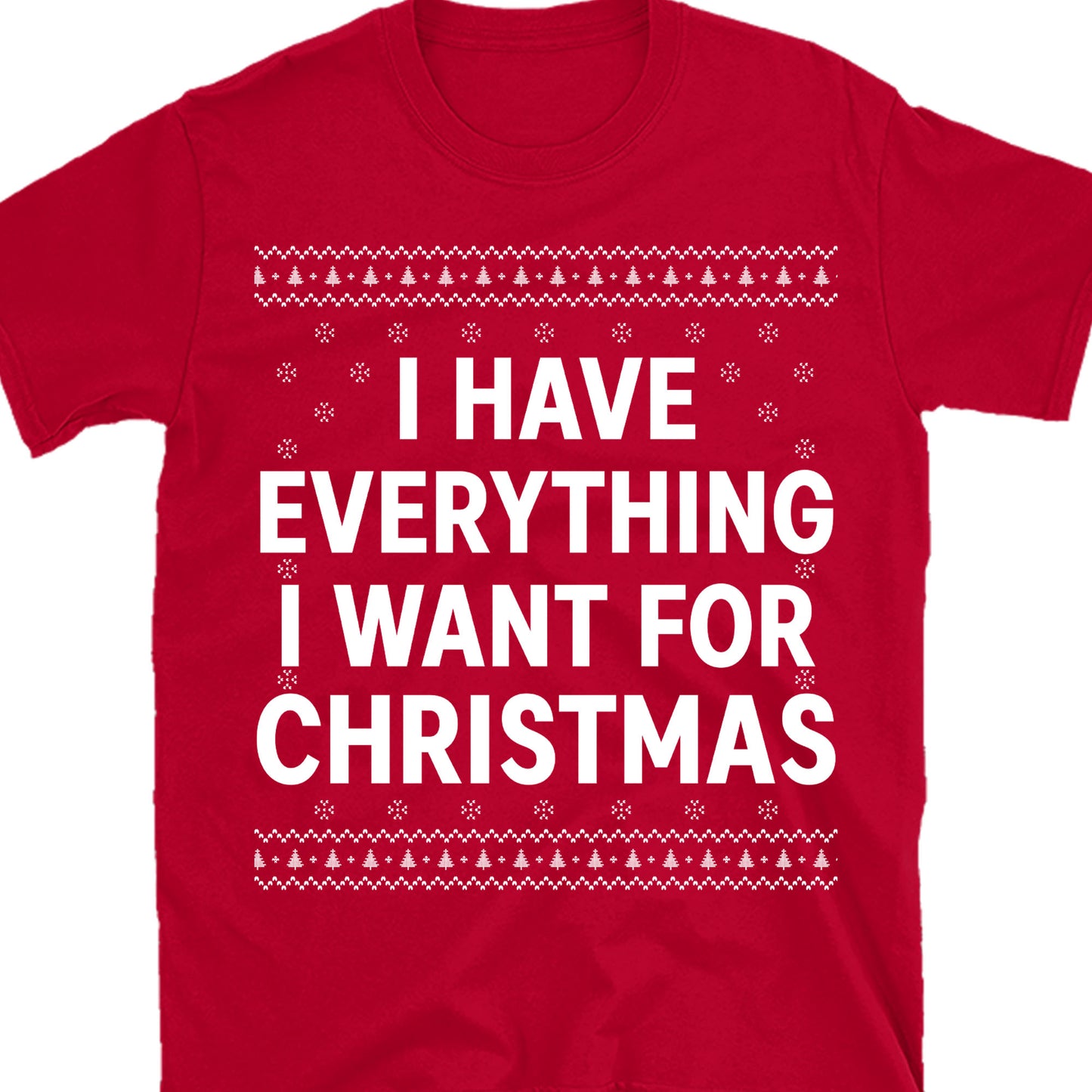 I Have Everything I Want For Christmas, Couple Matching Christmas Shirt, Personalized Custom Couple Sweatshirt T1324