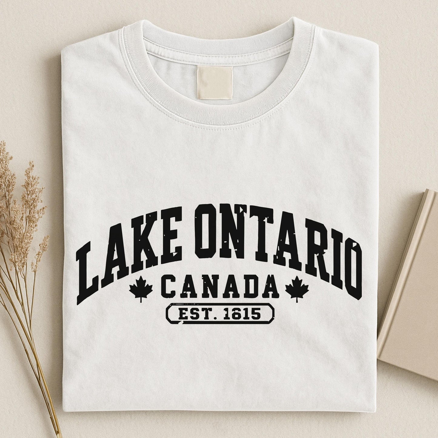 Lake Ontario Est 1615 Bright Shirt, Quiet Activism Tee 686117 WFD
