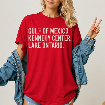 Gulf Of Mexico Kennedy Center Lake Ontario Dark Shirt - Subtle FDT Anti Trump Tee 686116