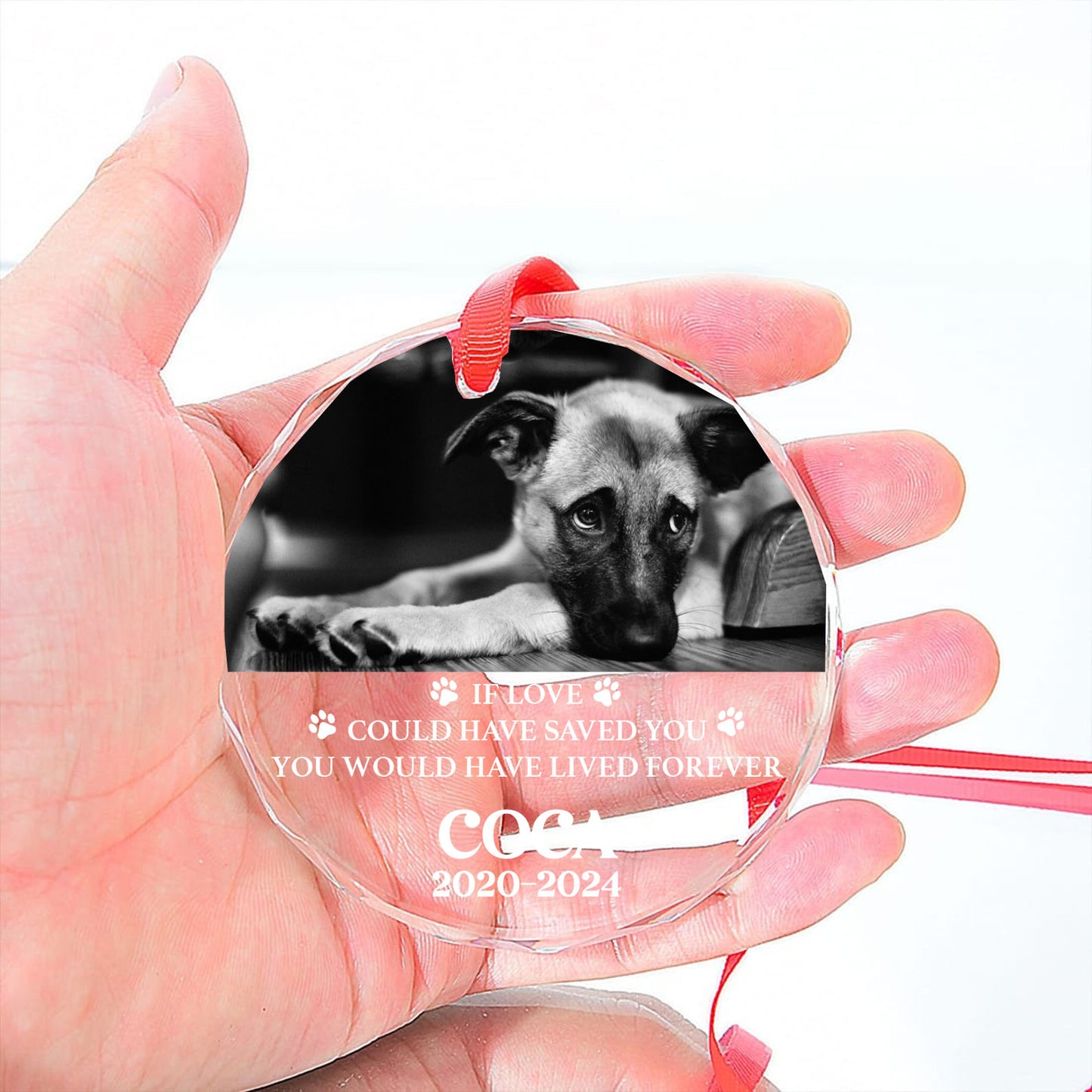 Personalized If Love Alone Could Have Kept You Here Glass Ornament | Custom Memorial Pet Photo Glass Ornament For Christmas Decor 682727