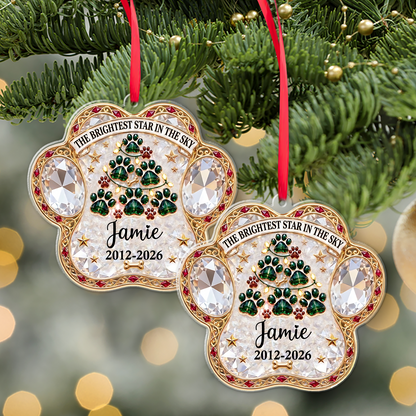 Personalized The Brightest Star In The Sky Acrylic Ornament, Custom Name Christmas Gift For Pet Lover 686728