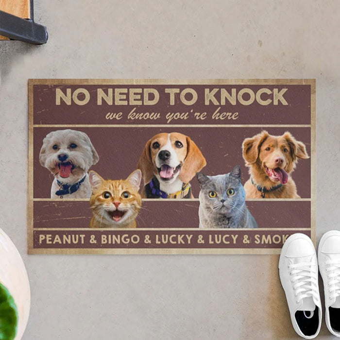 No Need To Knock Personalized Custom Photo Dogs Cats Pets Doormats C597