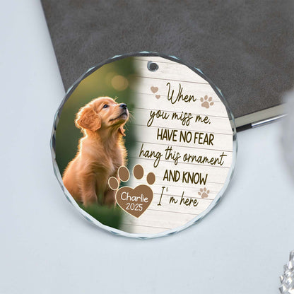 Personalized When You Miss Me Pet Memorial Glass Ornament | Custom Pet Photo Glass Ornament | Dog Cat Loss Remembrance Gift Keepsake 682722
