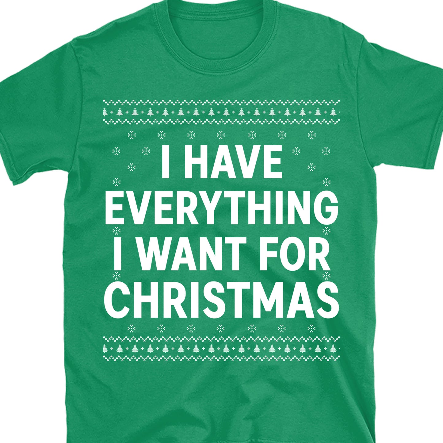 I Have Everything I Want For Christmas, Couple Matching Christmas Shirt, Personalized Custom Couple Sweatshirt T1324
