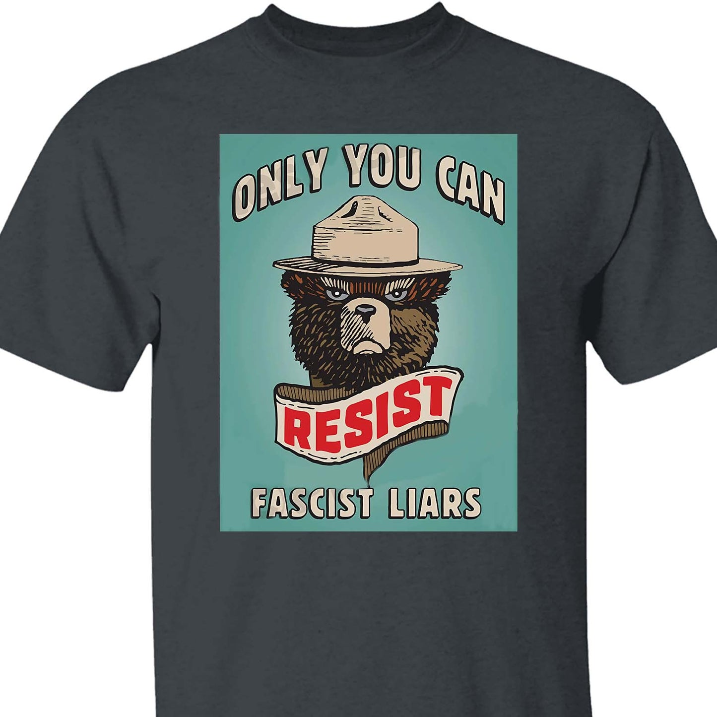 Resist Fascist Liars Shirt – 8647 Anti Trump Political Protest Tee For Activists Tee, Political Protest Dark Shirt 682210