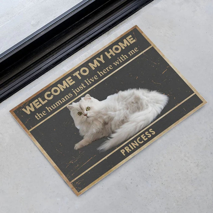 Welcome To The Pet Home Personalized Custom Photo Dogs Cats Pets Doormats C597