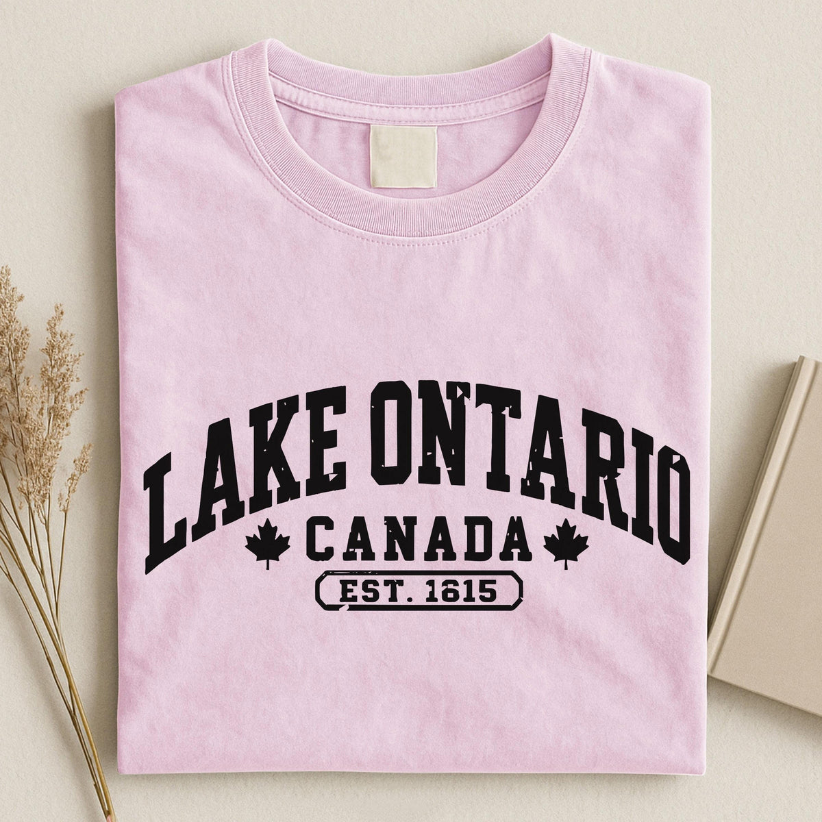 Lake Ontario Est 1615 Bright Shirt, Quiet Activism Tee 686117 WFD
