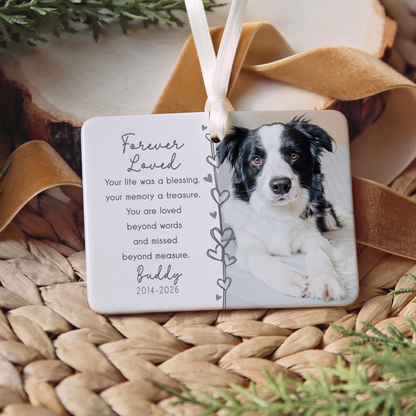 Custom Dog Cat Memorial Photo Ceramic Ornament, Personalized Christmas Gift For Pet Lover 686790 WFD