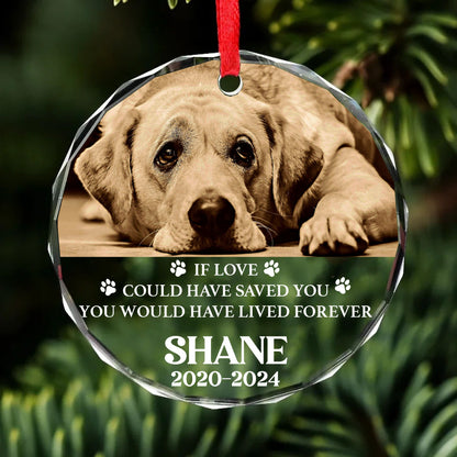 Personalized If Love Alone Could Have Kept You Here Glass Ornament | Custom Memorial Pet Photo Glass Ornament For Christmas Decor 682727