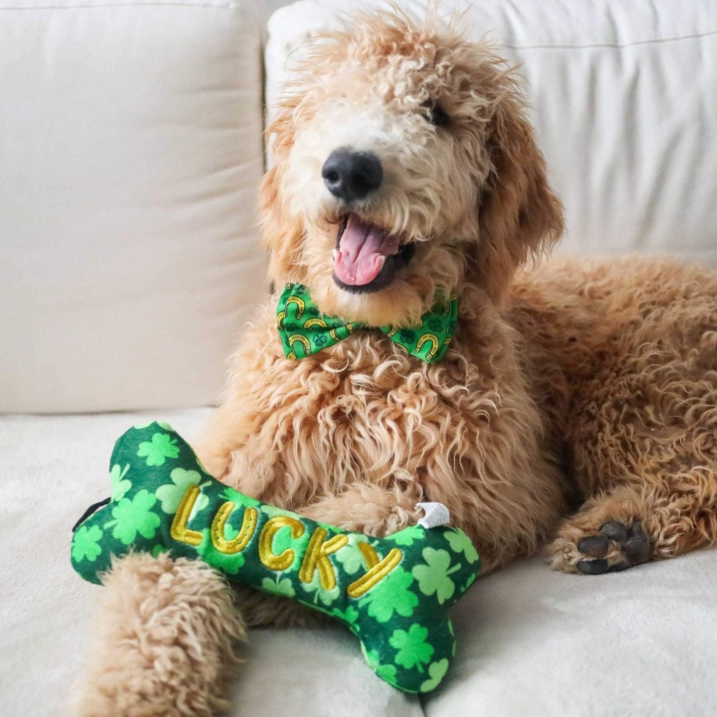 Lucky Charm Bone Dog Toy | St. Patrick's Day Dog Toy with Squeaker | Funny Dog Gift 684276