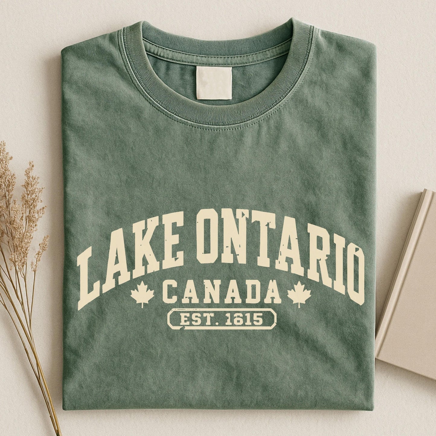 Lake Ontario Est 1615 Bright Shirt, Quiet Activism Tee 686117 WFD