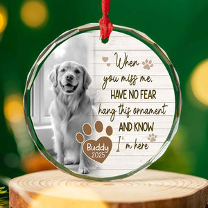 Personalized When You Miss Me Pet Memorial Glass Ornament | Custom Pet Photo Glass Ornament | Dog Cat Loss Remembrance Gift Keepsake 682722