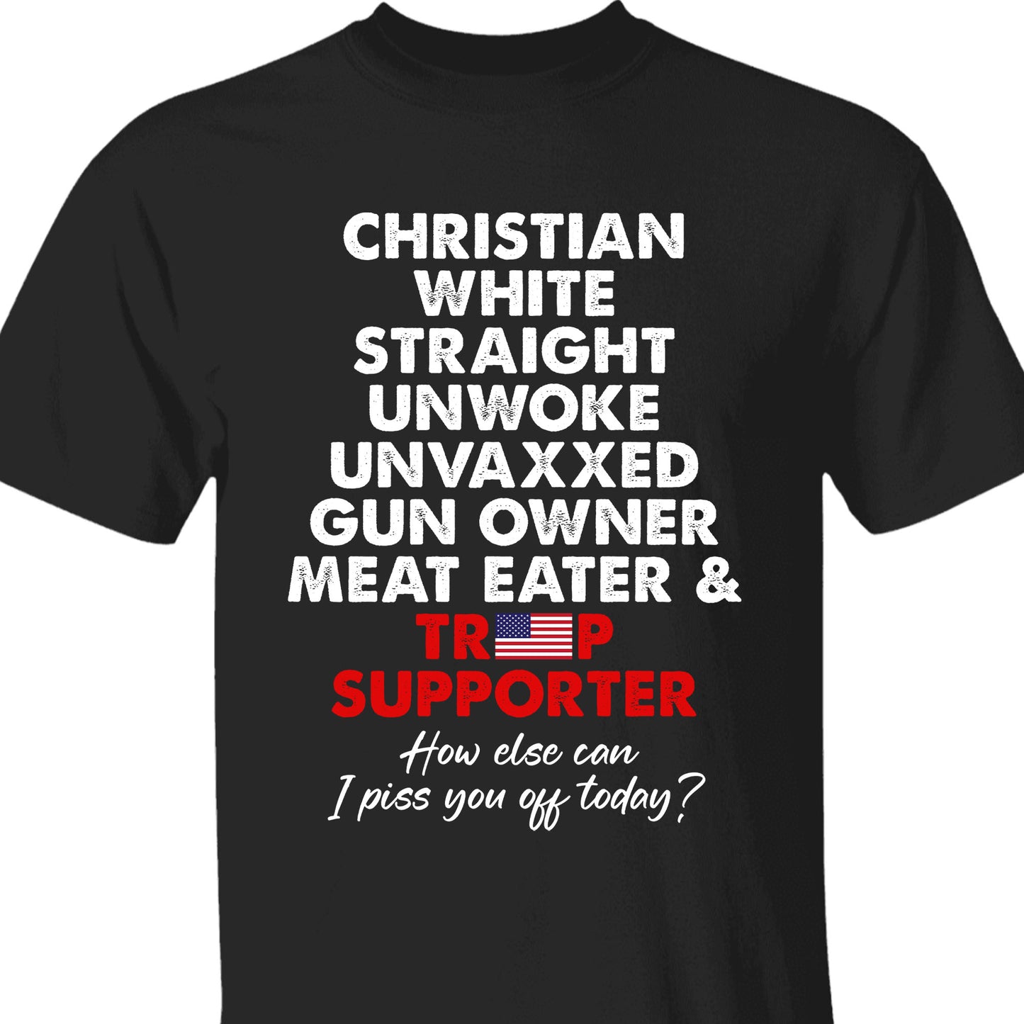 Trump Supporter Shirt | Donald Trump Homage Shirt | Donald Trump Fan Tees C916 - GOP