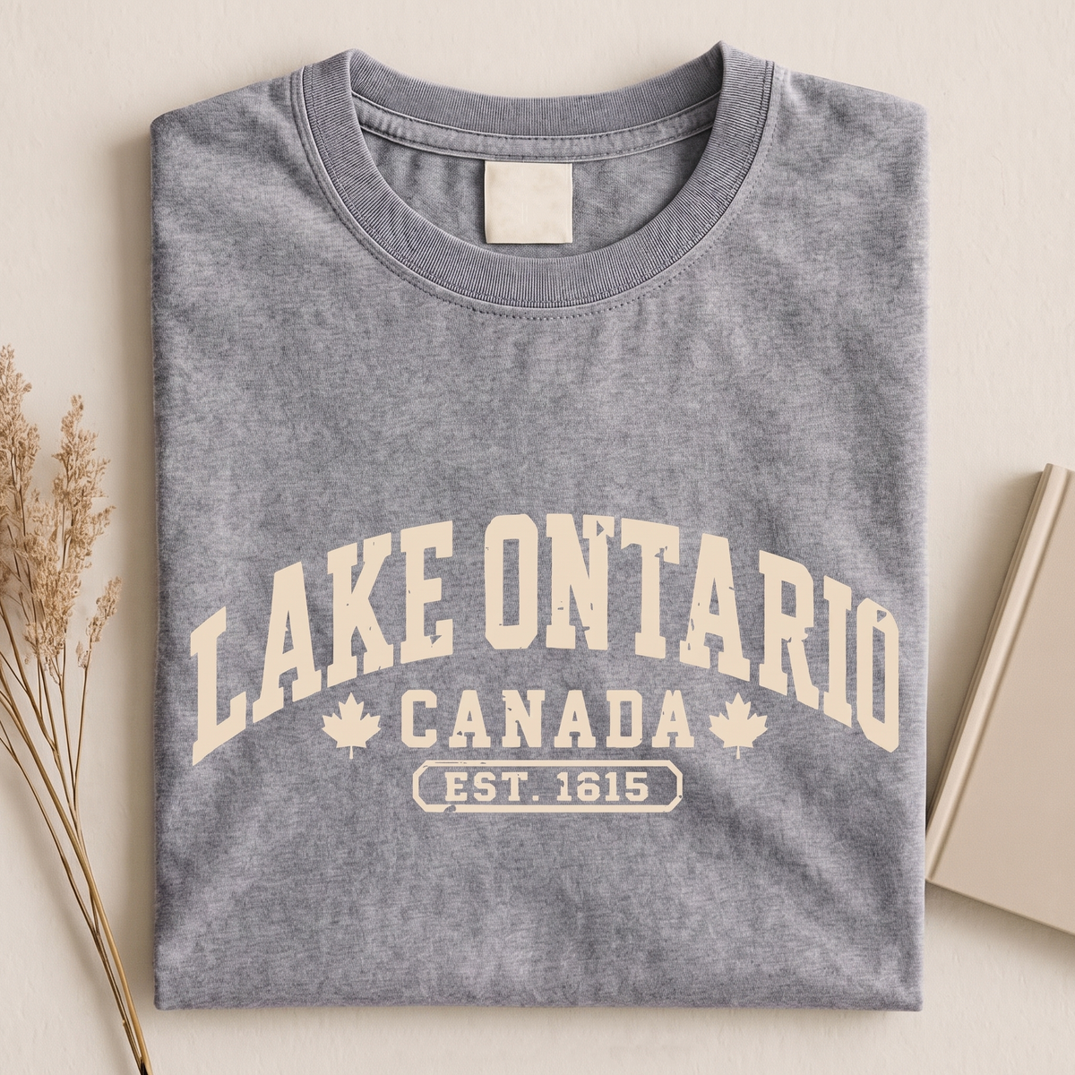 Lake Ontario Est 1615 Bright Shirt, Quiet Activism Tee 686117 WFD