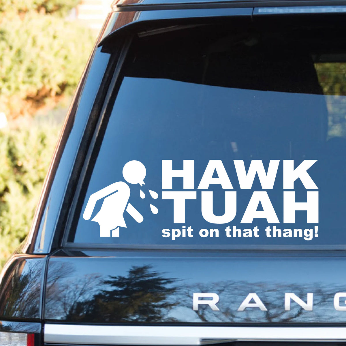 Hawk Tuah Spit On That Thang Decals | Funny Viral Meme Decals | Car ...