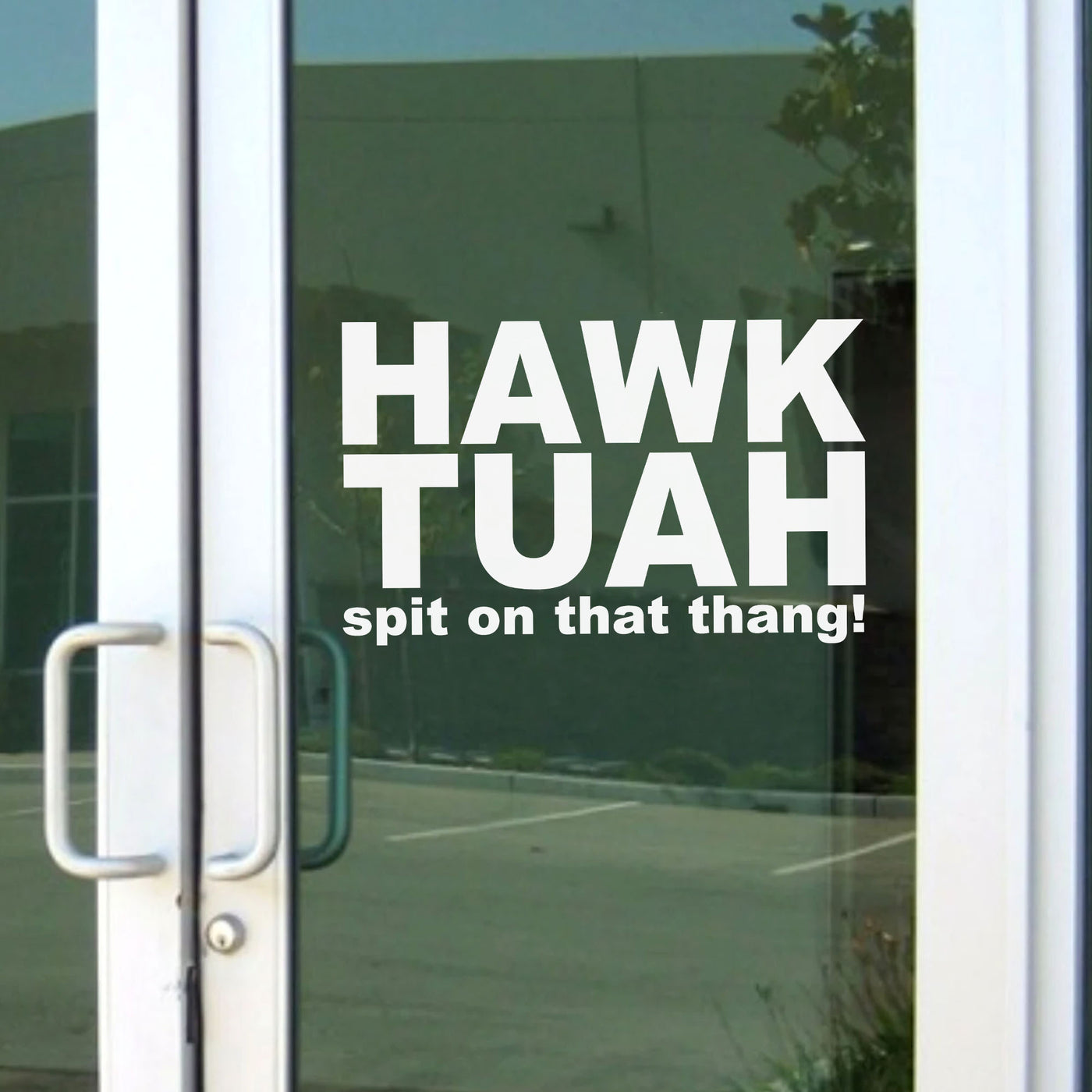 Hawk Tuah Spit On That Thang Decals | Funny Viral Meme Decals | Car ...