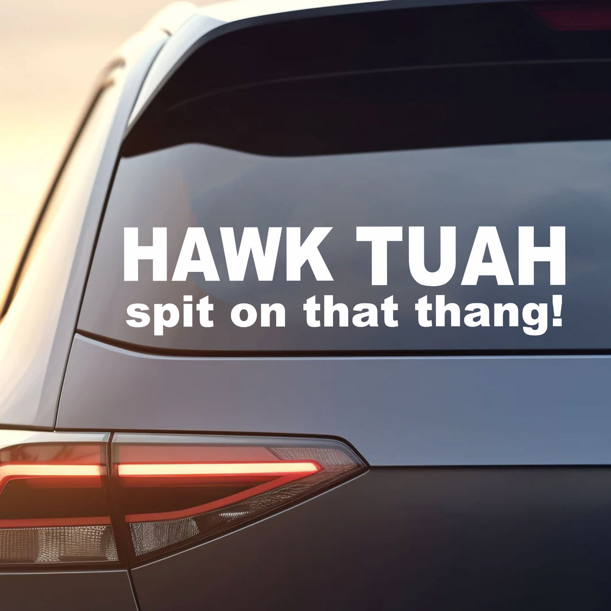 Hawk Tuah Spit On That Thang Decals | Funny Viral Meme Decals | Car ...