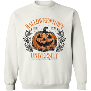 Halloweentown University 1988 Shirt, Spooky Pumpkin Shirt, Fall Halloween Shirt, Halloween Sweatshirt T1355