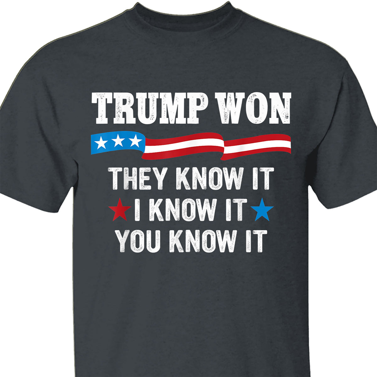 They Know It I Know It You Know It , Trump Won, Trump Wining Election Shirt, Trump 47th President Shirt Dark T1711 - GOP
