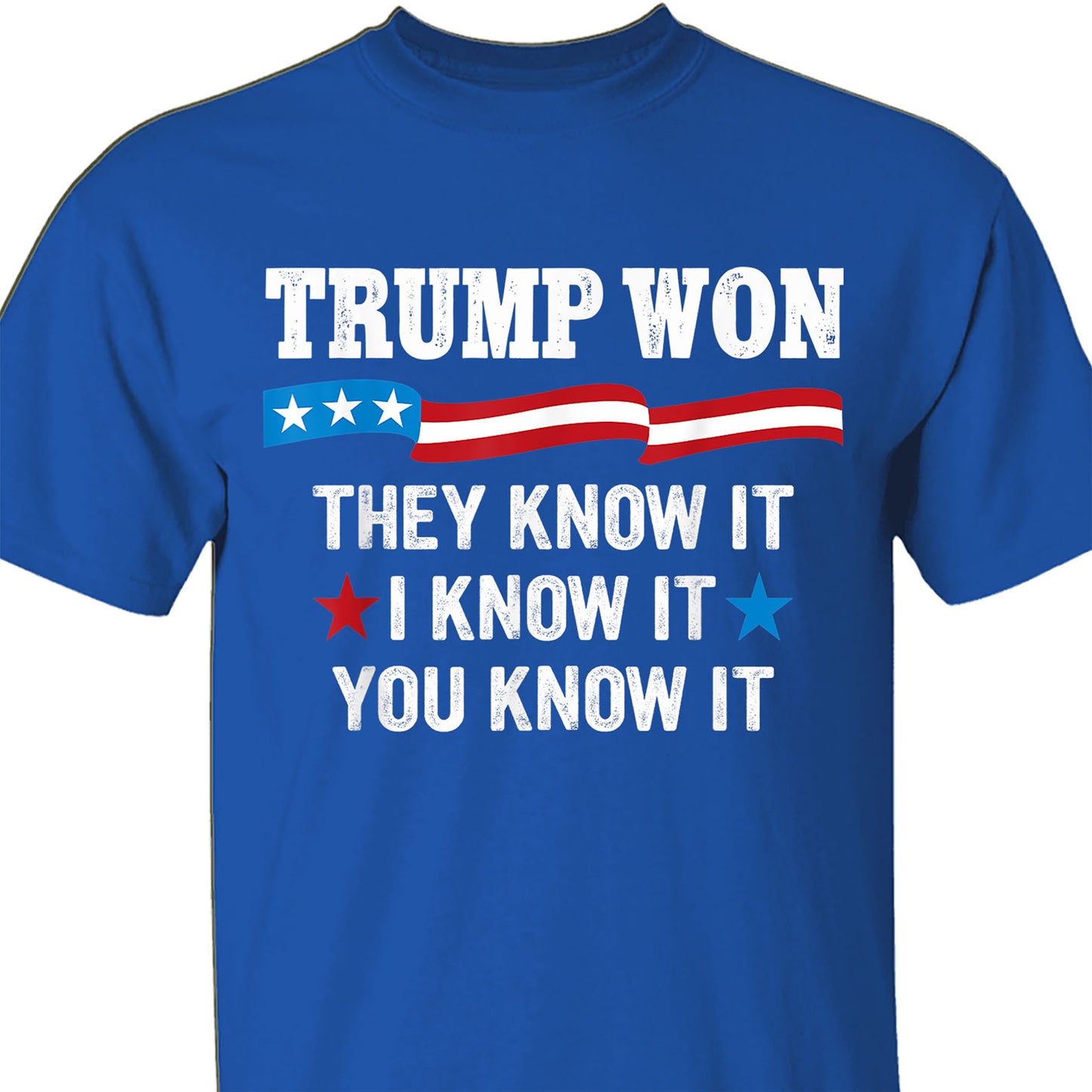 They Know It I Know It You Know It , Trump Won, Trump Wining Election Shirt, Trump 47th President Shirt Dark T1711 - GOP