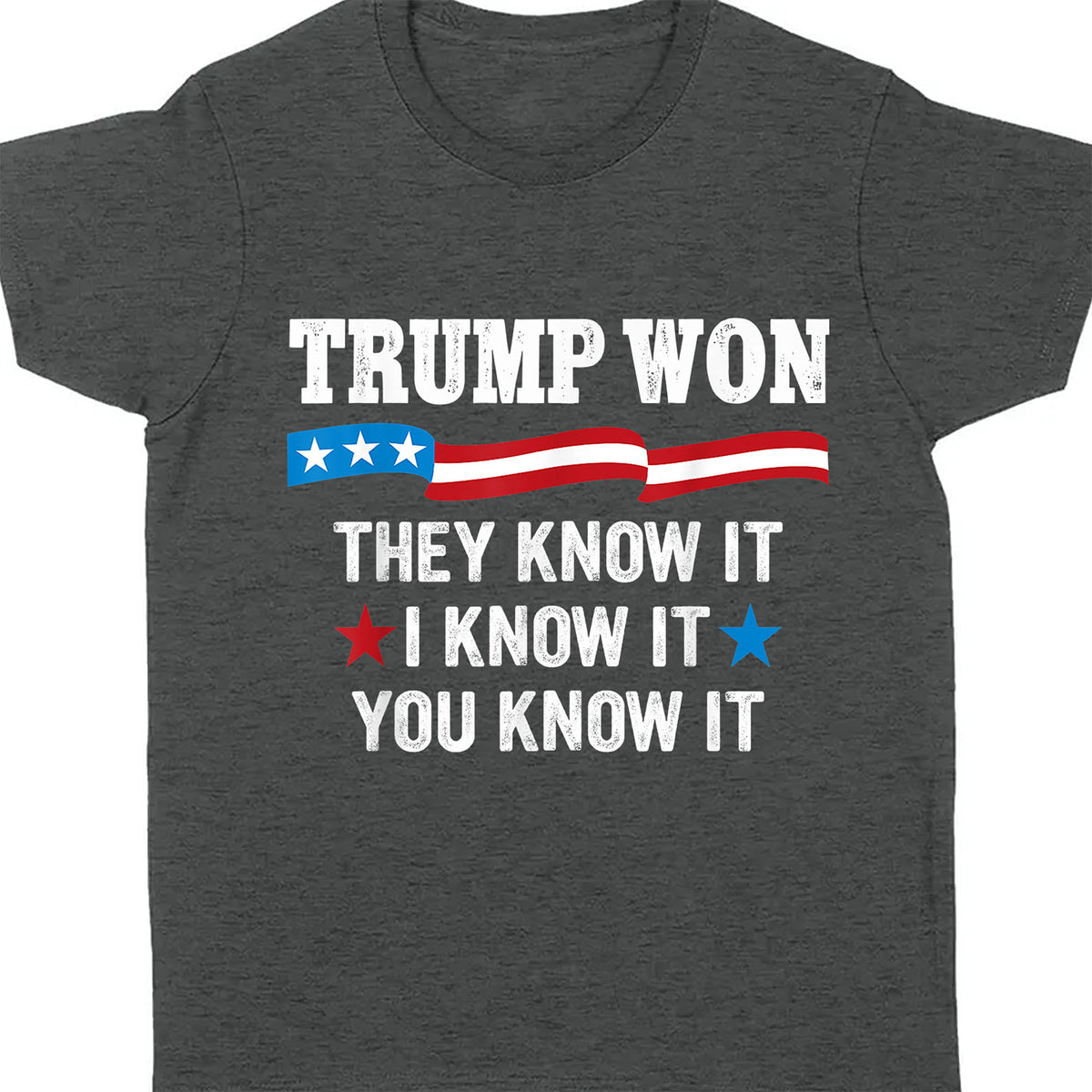 They Know It I Know It You Know It , Trump Won, Trump Wining Election Shirt, Trump 47th President Shirt Dark T1711 - GOP