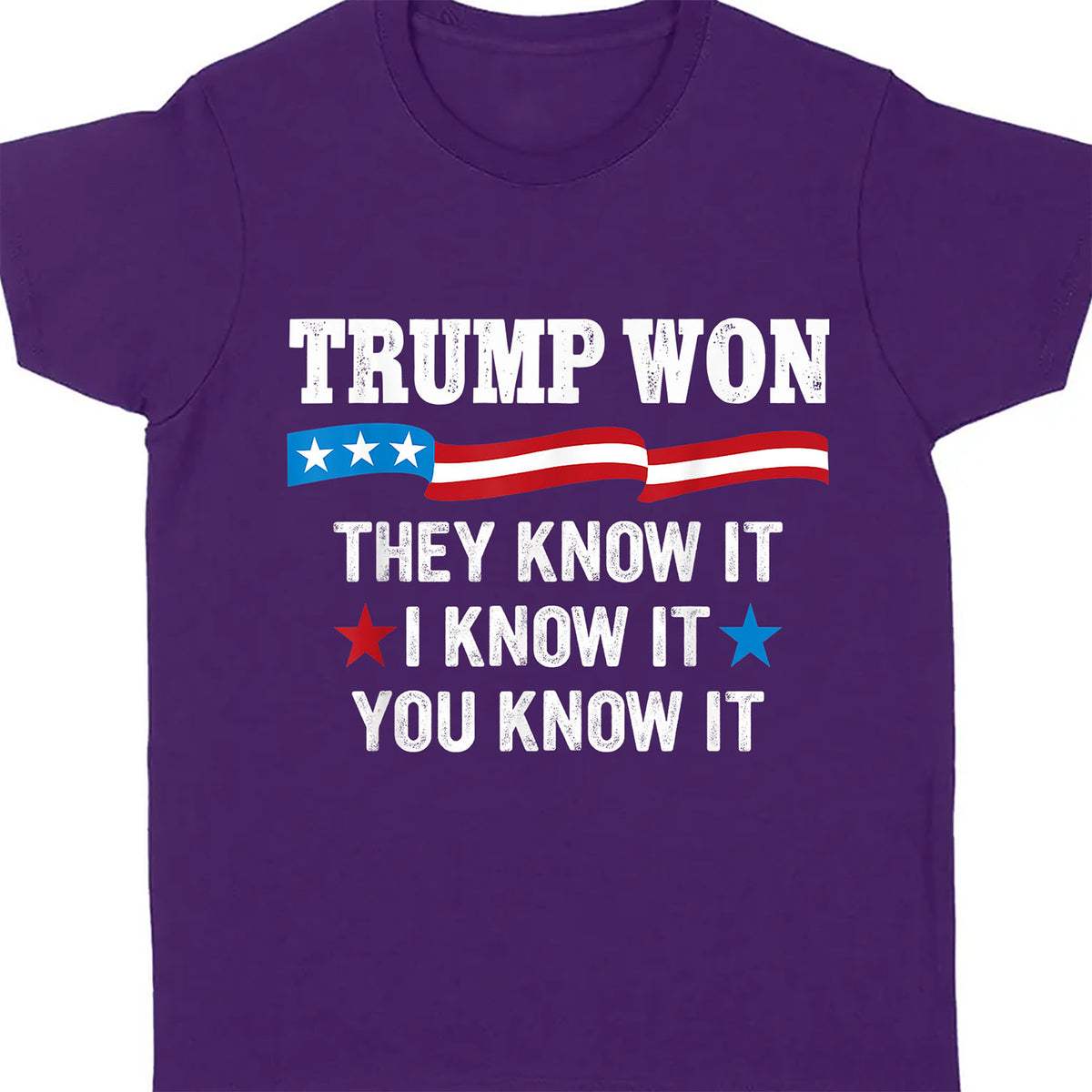 They Know It I Know It You Know It , Trump Won, Trump Wining Election Shirt, Trump 47th President Shirt Dark T1711 - GOP