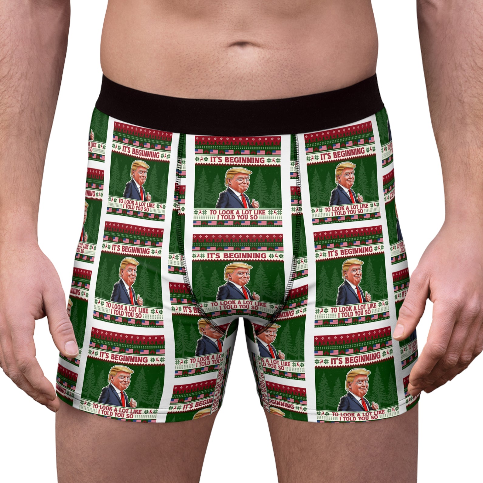 It's Beginning To Look A Lot Like I Told You So Boxer Briefs, Trump Christmas Gift, Trump Boxer Briefs 681740 - GOP