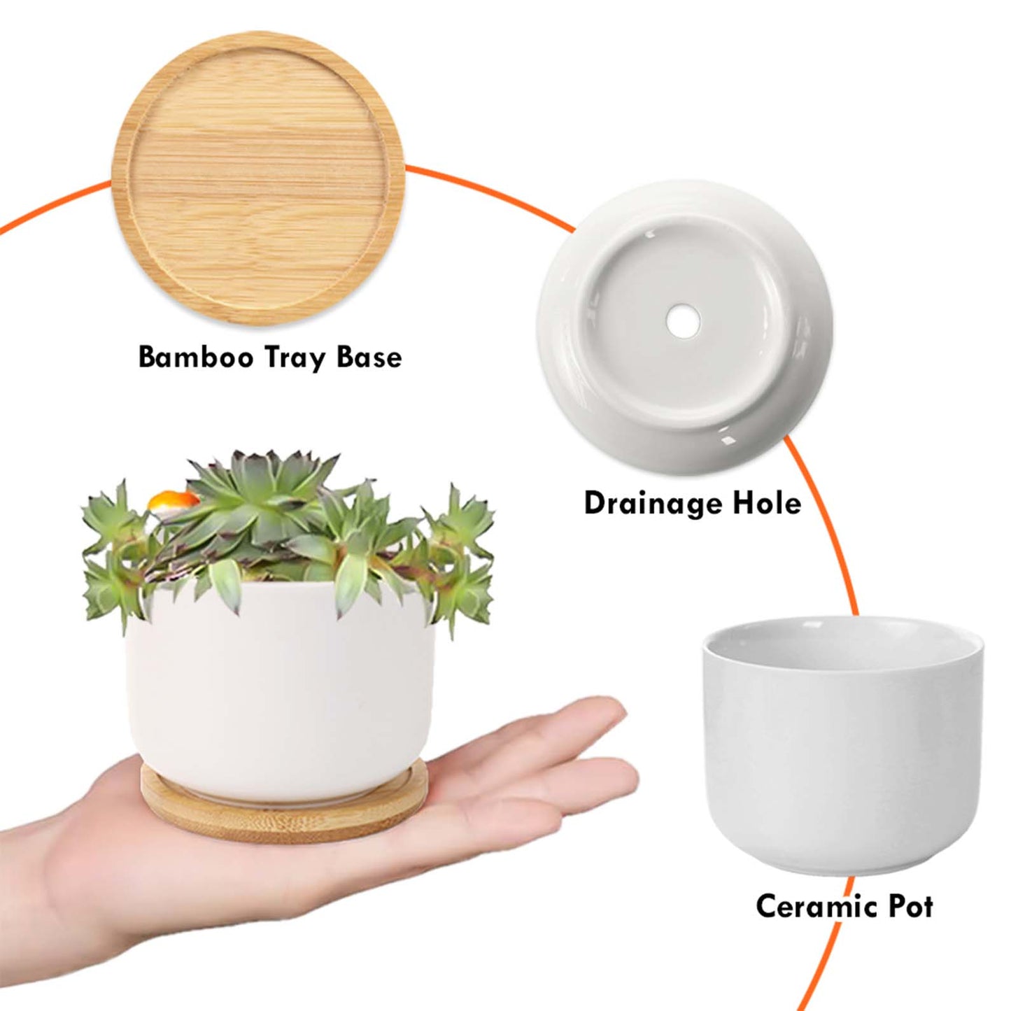 Grandmas Garden Gift for Grandma | Personalized Flower Pot | Custom Birth Flower | Gift For Mom 684711