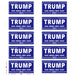 10 Pack Trump 2024 Car Stickers,8 Inches X 4 Inches Big Trump Letters Car Decal, Make America Great Again 2024 Bumper Stickers