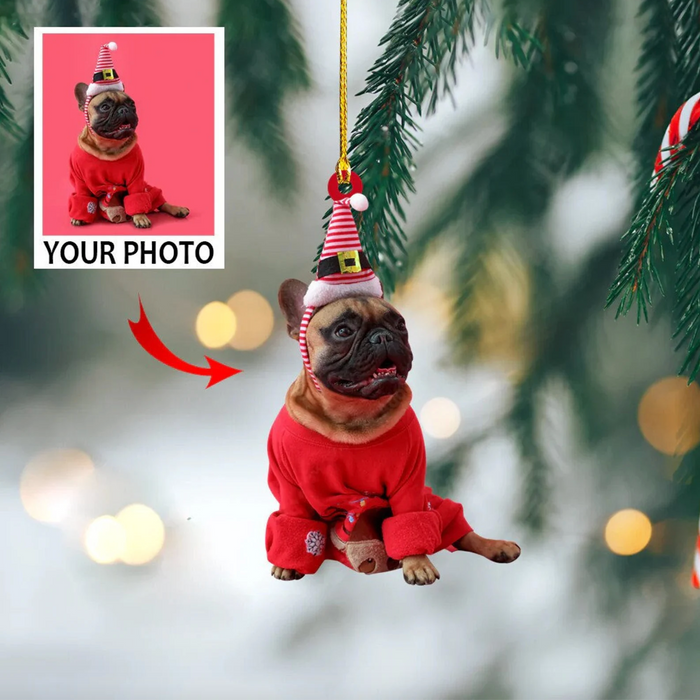Photo Ornament, Personalized Family Christmas Ornament C821