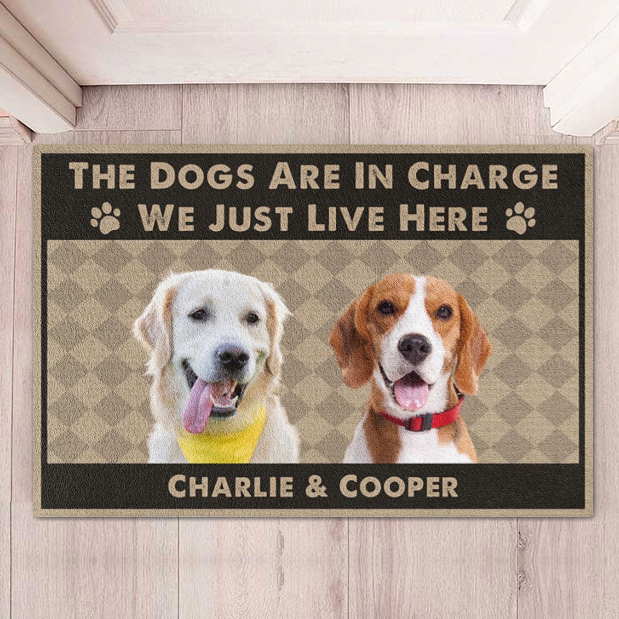 The Dogs Are In Charge Personalized Custom Photo Dog Cat Doormat C742