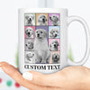 Custom Photo Eras Tour Mug, Personalized with Your Own Dog or Cat Photo Portrait Mug C792